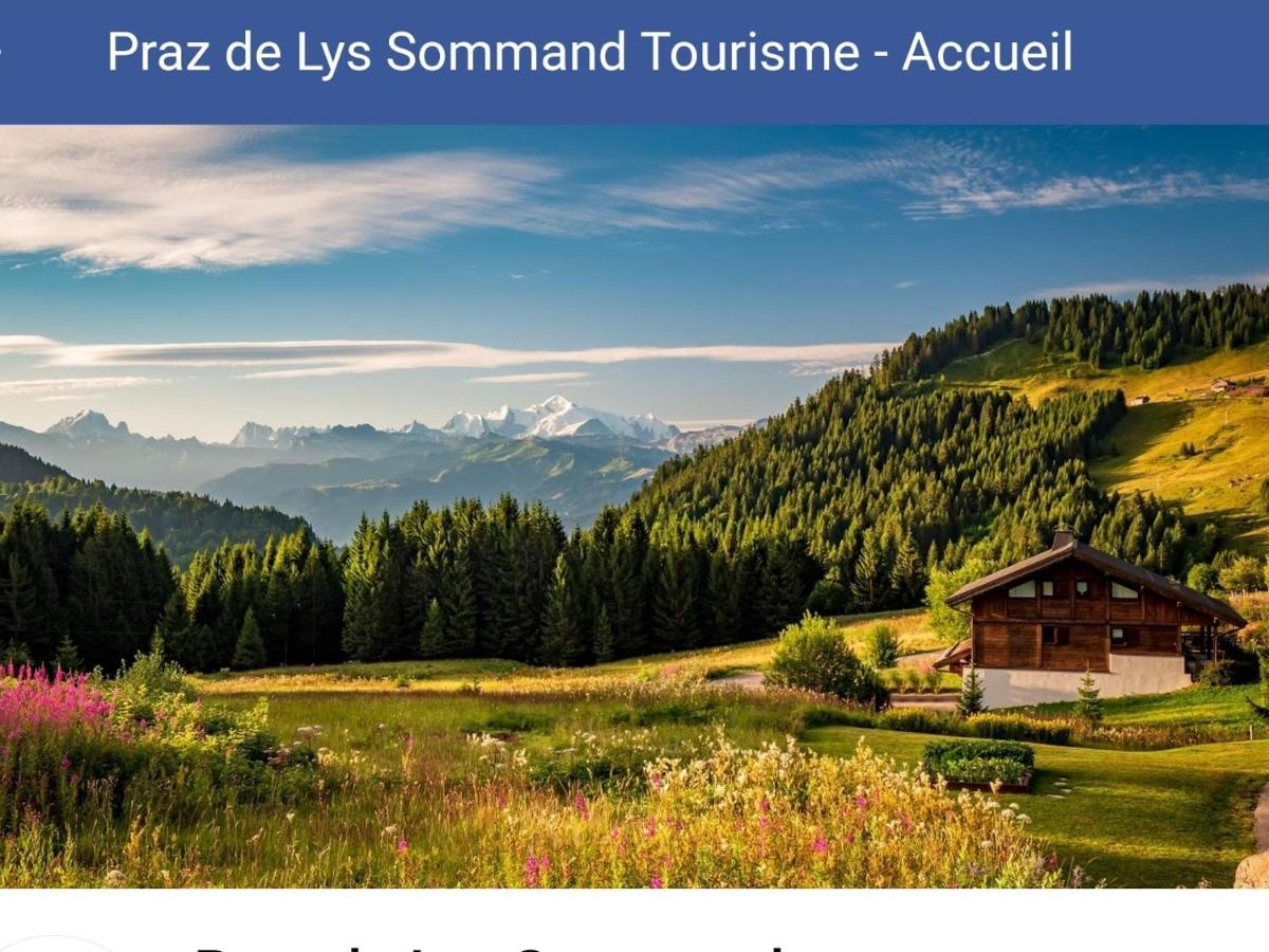 Studio Cabine Praz De Lys Taninges Extérieur photo